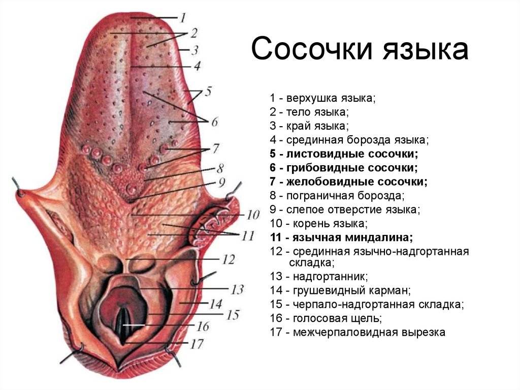 Сладкий большой клитор мерзавки