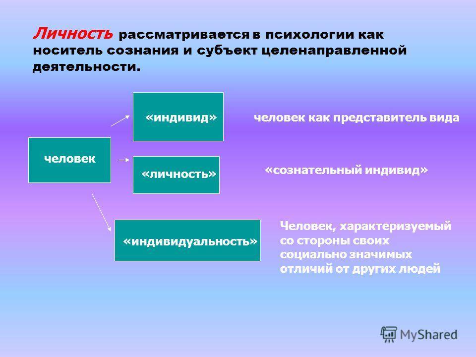 Индивидуальный проект на тему психология человека