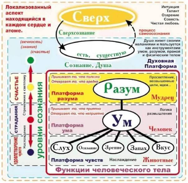 Ум, разум, рассудок, слово