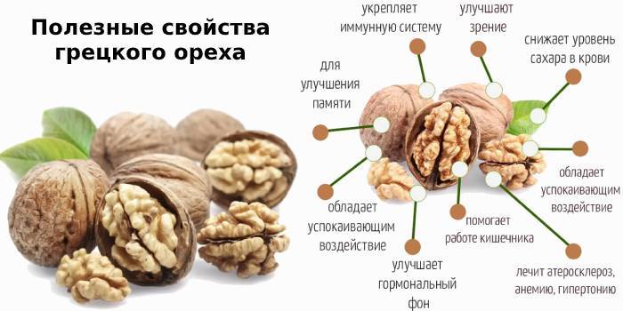 Какие орехи самые полезные для мужчин