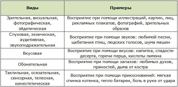 Память в психологии: основные виды и интересны факты