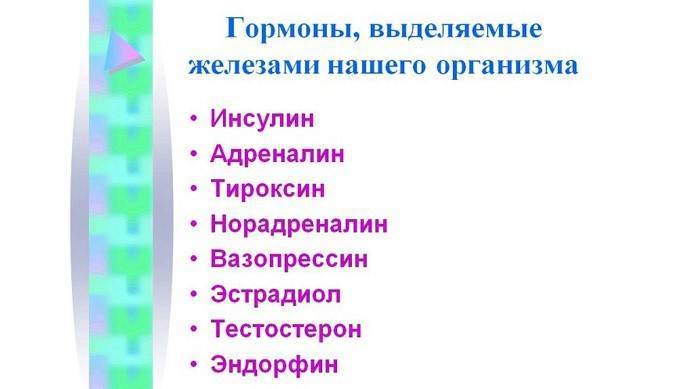 Гормон радости: все, что вы не знали о серотонине