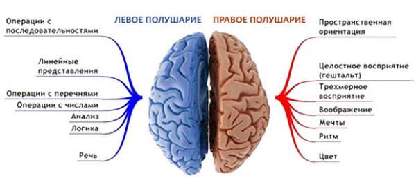 Ишемический инсульт прогноз для жизни