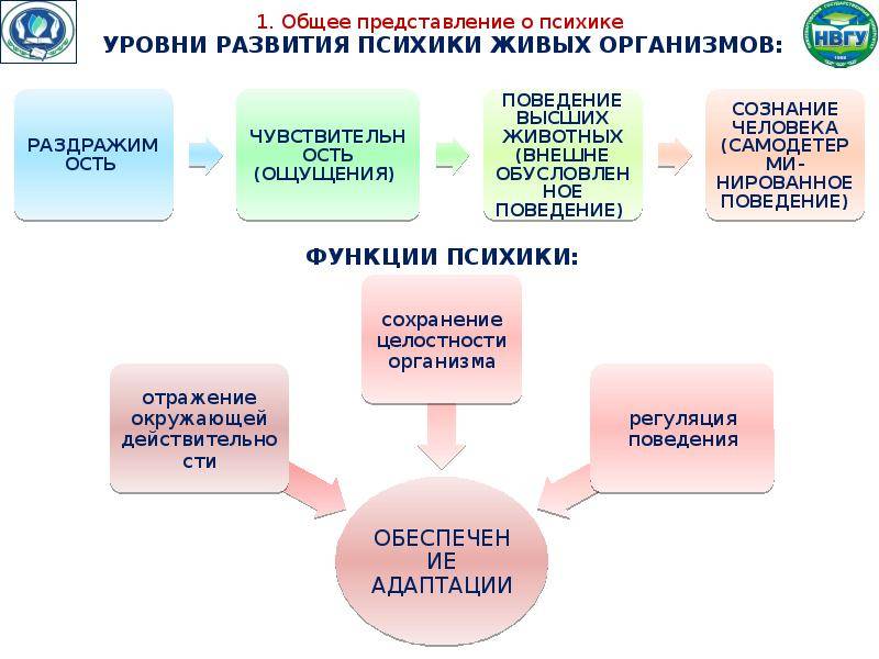 Уровни развития психики. Уровни развития психики живых организмов. Основные уровни развития психики живых организмов. Общее представление о психике. Уровни развития психики человека.