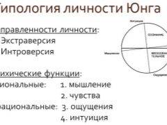 Психотип что это такое. Смотреть фото Психотип что это такое. Смотреть картинку Психотип что это такое. Картинка про Психотип что это такое. Фото Психотип что это такое