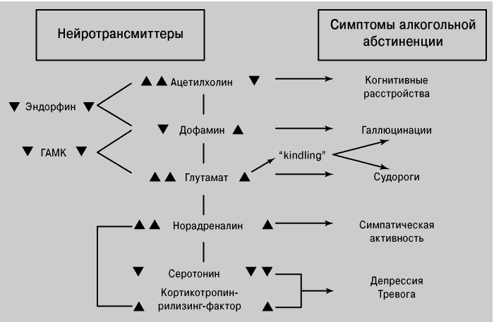 Алкогольная зависимость патогенез классификация клиническая картина диагностика лечение прогноз