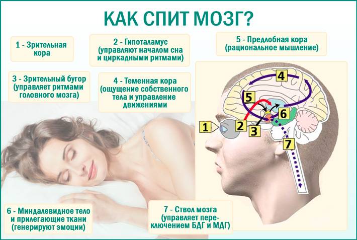 Ученые выяснили, сколько нужно спать людям разных возрастов