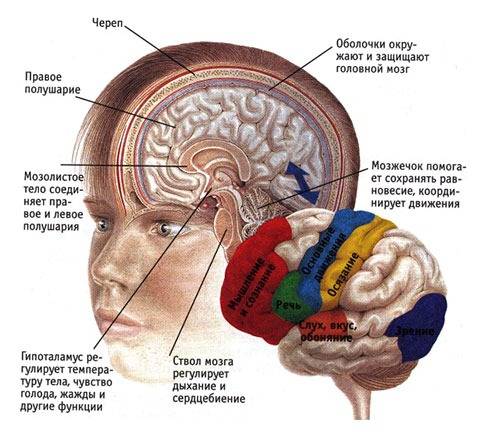 Захват сознания