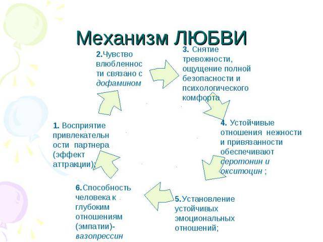 Любовь ? - что это такое? мнение психологов