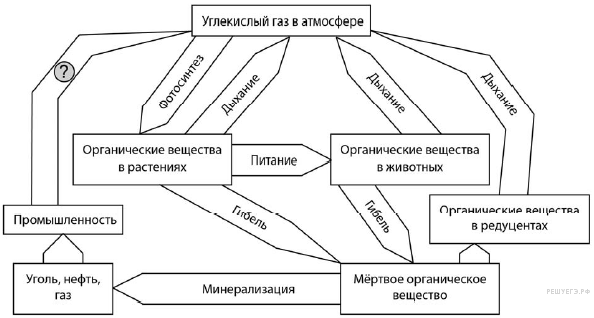 Эффект торможения нервной системы