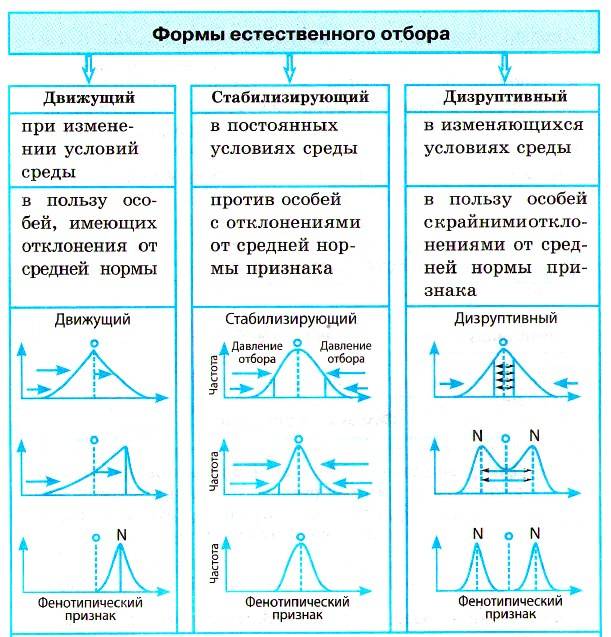 Психология от а до я: словарь-справочник - естественный отбор