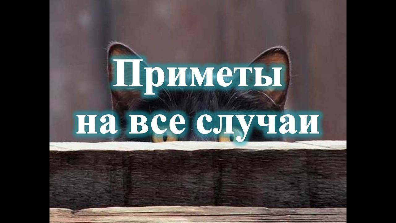 Бабушкины приметы