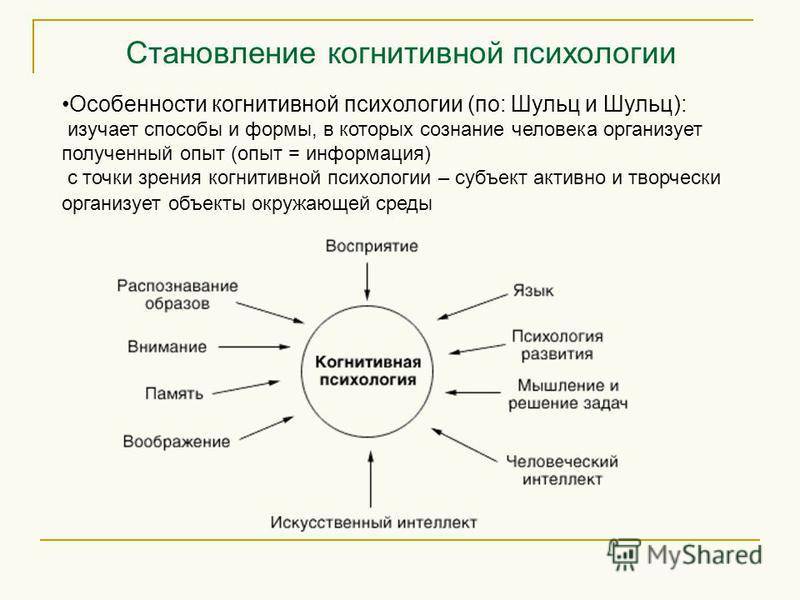 Когнитивные схемы в психологии