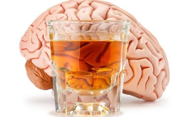 Ученые: алкоголь разрушает мозг после отказа от употребления