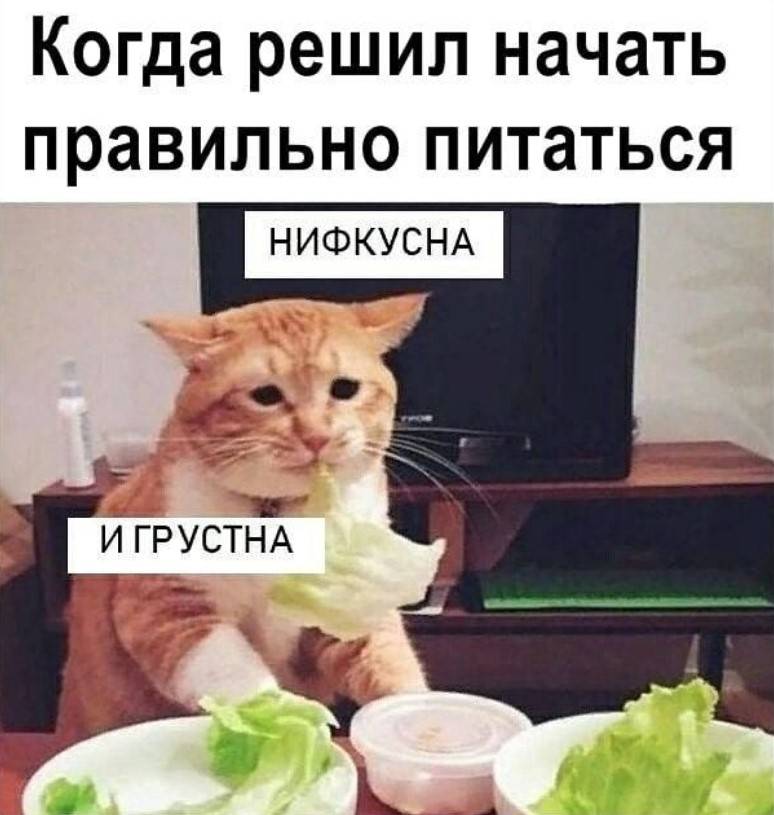 Блог Счастья15 способов поднять себе настроение