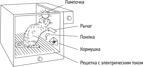 Теория социального научения альберта бандуры