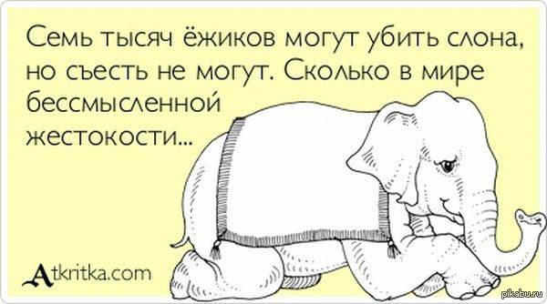 Что такое жестокость? психология жестокости: причины и последствия