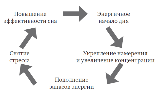 15 эффективных способов повысить свою энергетику