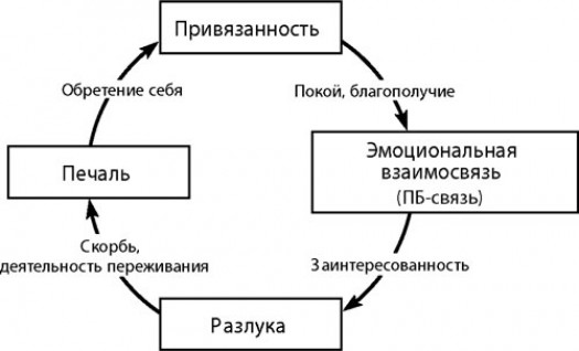 Какие мы проходим этапы любви в психологии