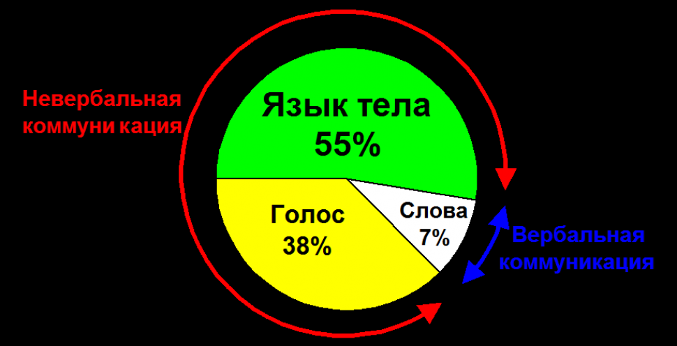 Невербальный язык общения: как правильно понять?