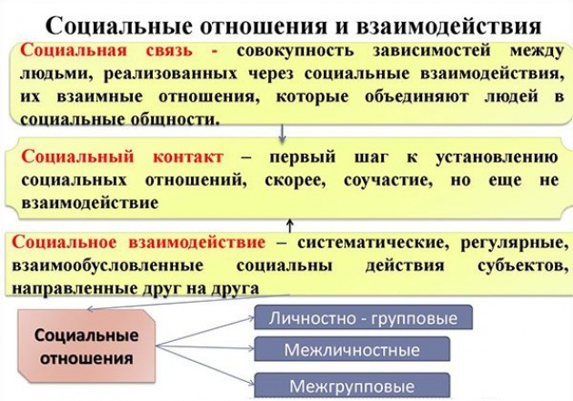 Социальные отношения: структура взаимодействий