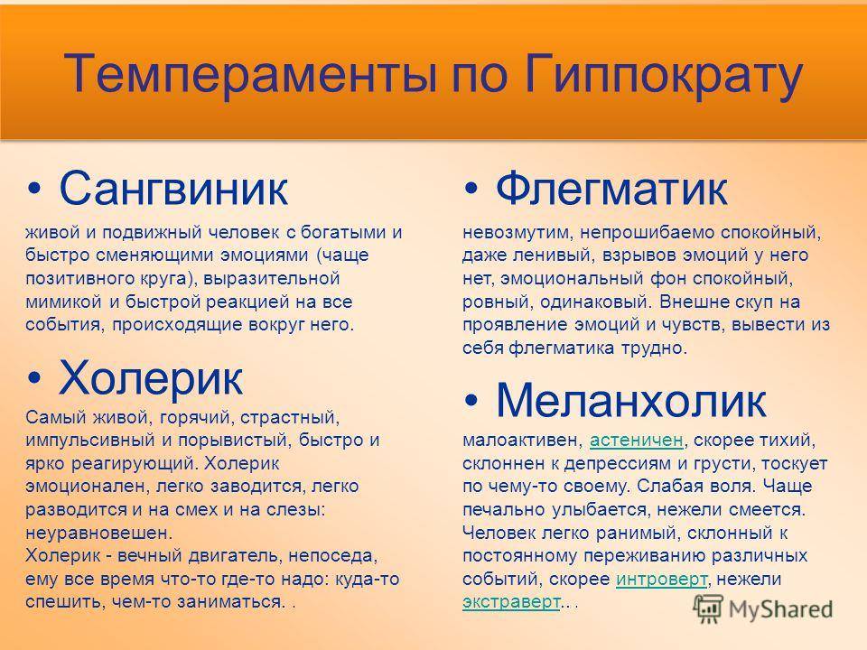 Классификация людей по типам личности: какие бывают, характеристика, 4 психотипа