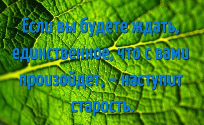 Психология: психология жизненные цели - бесплатные статьи по психологии в доме солнца