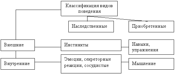 Бихевиоризм