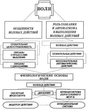 Феномен воли в психологии