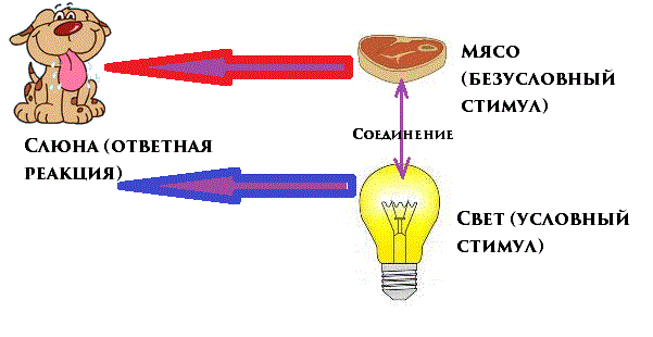 Условный стимул