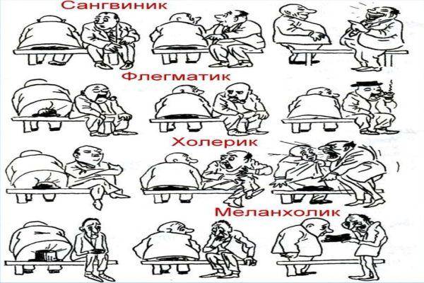 Психотип что это такое. Смотреть фото Психотип что это такое. Смотреть картинку Психотип что это такое. Картинка про Психотип что это такое. Фото Психотип что это такое