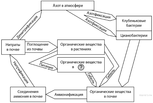 Разгонка и торможение психики, эмоционально-волевой тренинг: