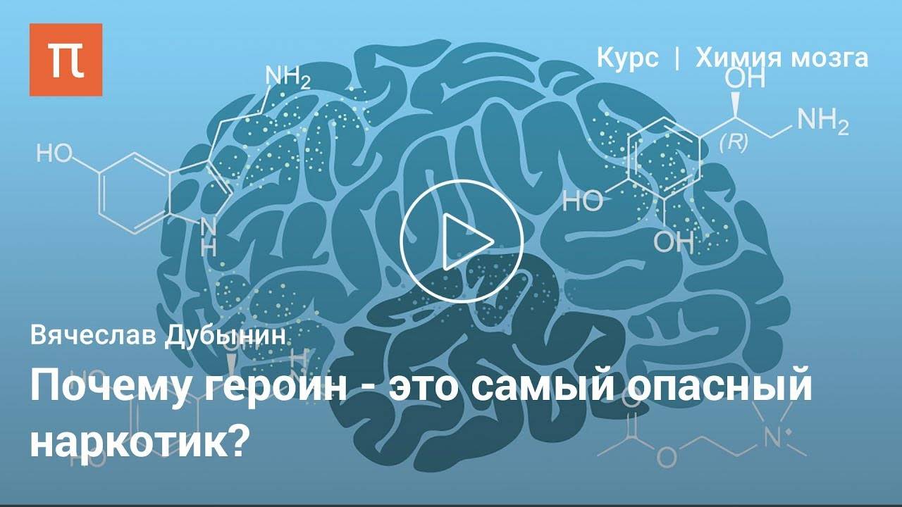 Почему алкоголизм должен лечить психолог