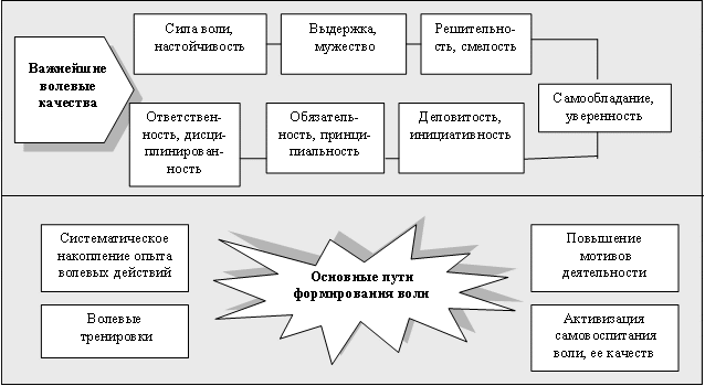 Прочитайте параграф 57 воля эмоции внимание укажите этапы волевого действия на схеме