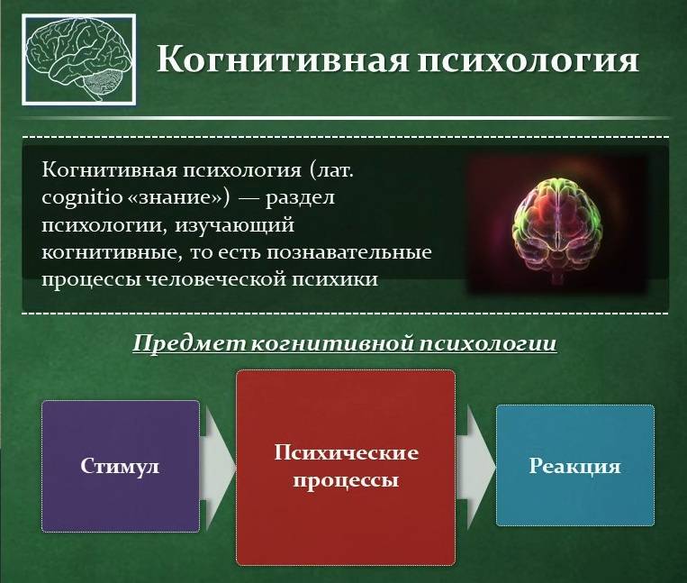 Когнитивные исследования темы для проекта
