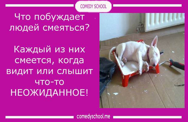 Как развить чувство юмора — что это такое и как оно проявляется