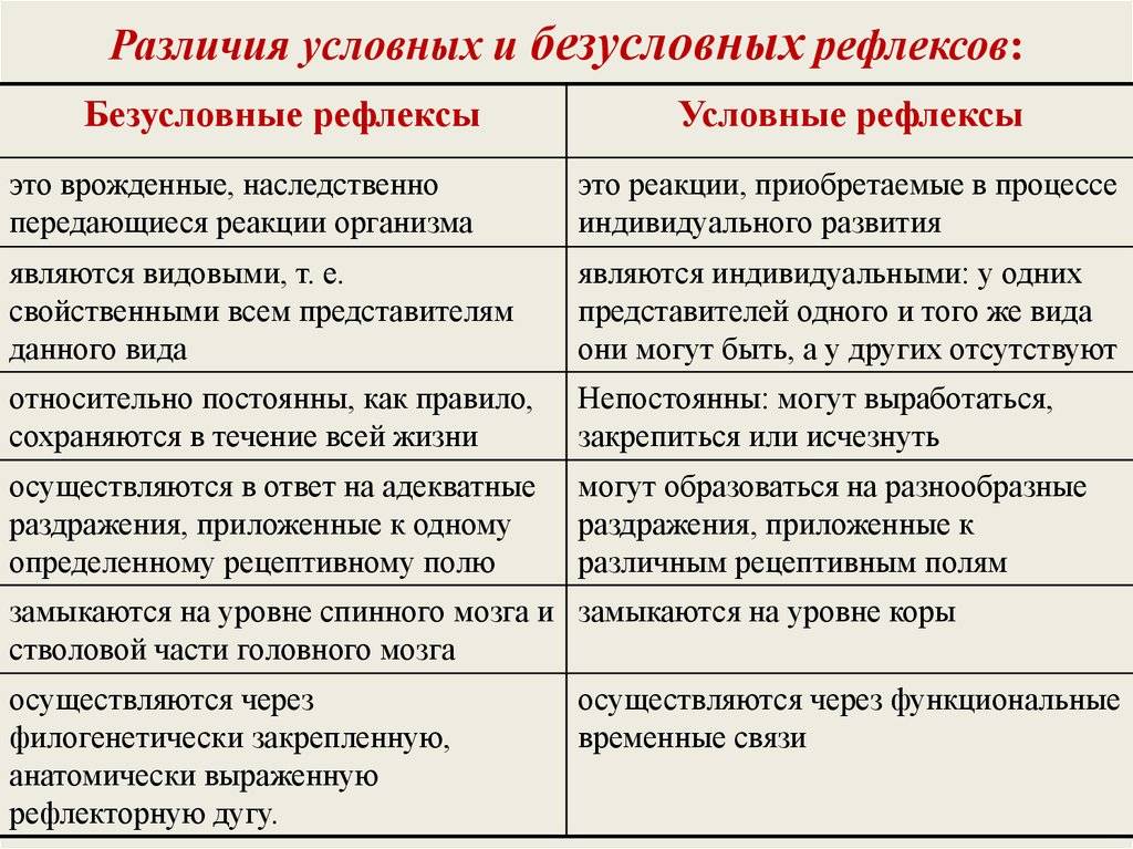 Презентация по теме условные и безусловные рефлексы