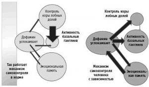 Причины возникновения шизофрении