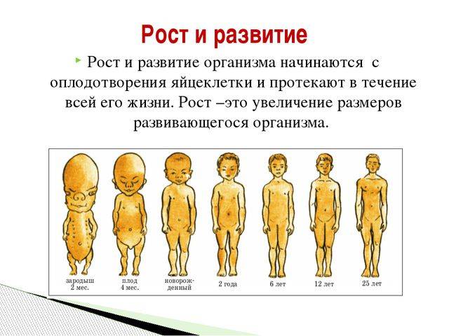 Личностный рост - что это такое и как стать сильной личностью?