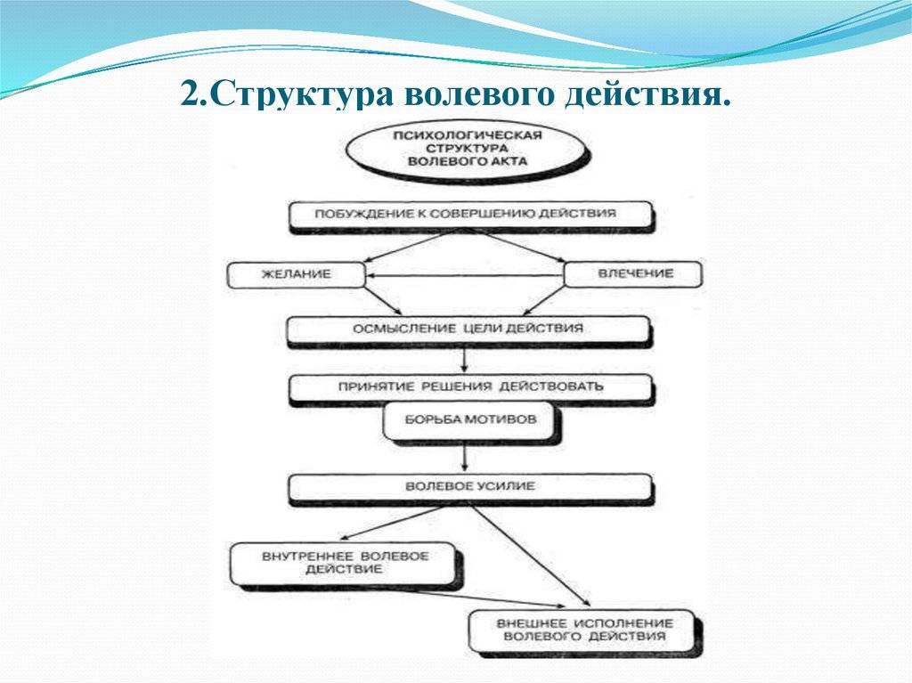 Структура поведения. Структура сложного волевого акта. Схема этапов волевого действия. Структура волевого действия в психологии схема. Психологическая структура волевого поведения.