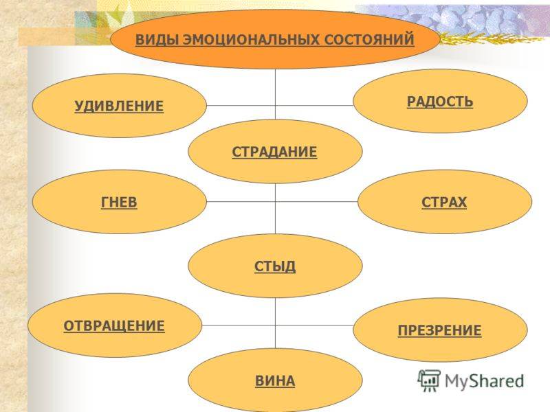 Эмоции и чувства — студопедия