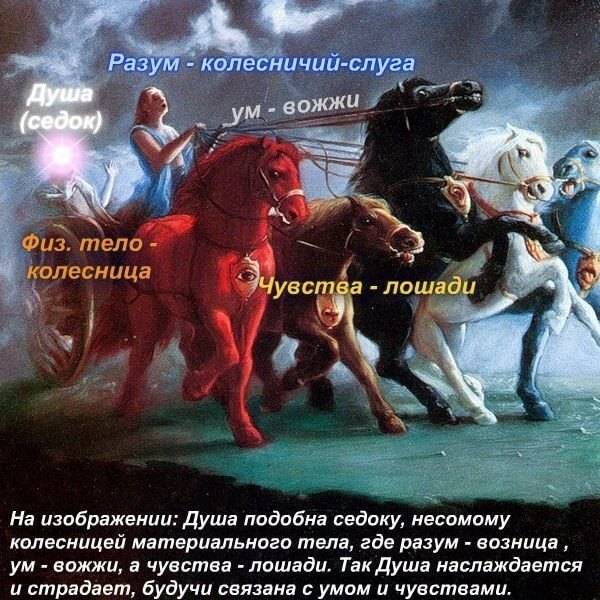 Ум, разум, рассудок, слово