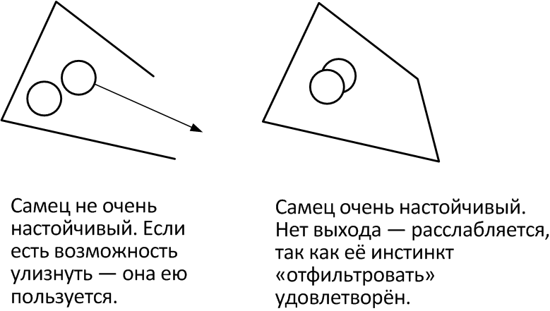 Кинестетик - особенности психологического типа