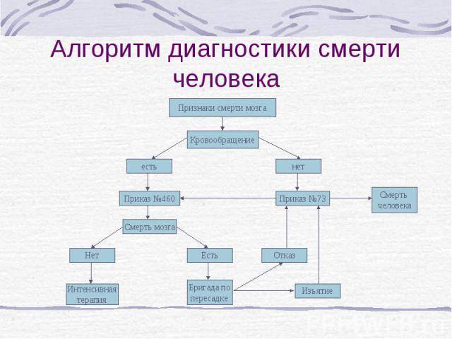 Смерть мозга, признаки и критерии смерти мозга