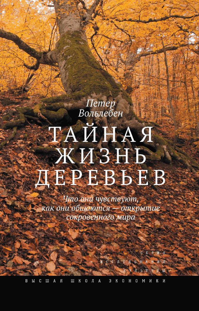Как отличить реальный голод от психологического