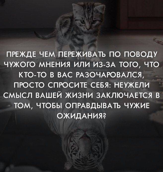 Бессмысленность и смысл жизни