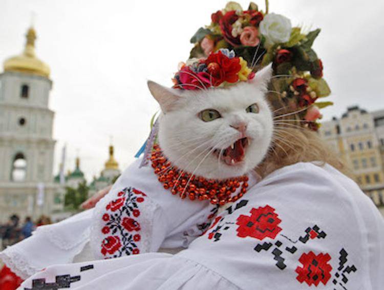 Слово зачистка