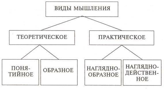 Виды мышления и их характеристика