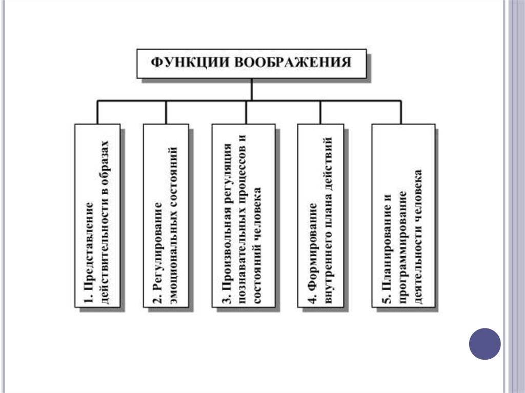 Воображение в психологии. виды, что это такое, определение, свойства, функции, классификация, примеры, нарушения