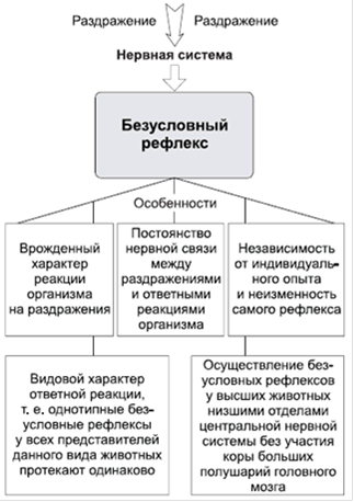 Безусловные рефлексы википедия